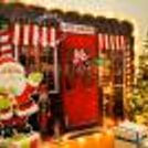 Lighten up your house with the stunning Christmas tree