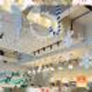 The hangings on the celling is exactly what you need to complete the party décor
