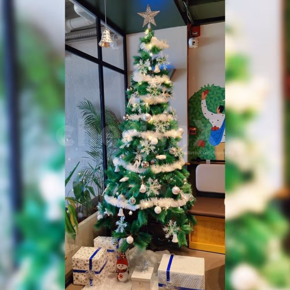 Lighten up your place with the stunning Christmas tree