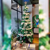 Lighten up your place with the stunning Christmas tree