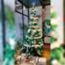 Lighten up your place with the stunning Christmas tree
