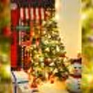 Lighten up your house with the stunning Christmas tree