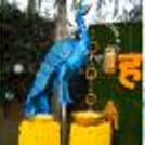 The Lotus urfi is a good quality haldi that you cannot miss as a part of the theme