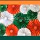 Independence Day Decoration Package — photo 3