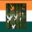 Independence Day Decoration Package — photo 4