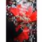 Bring joy to any occasion with a romantic flower and balloon bouquet