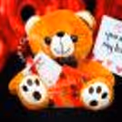 Express your love like never before with this beautiful teddy bucket gift