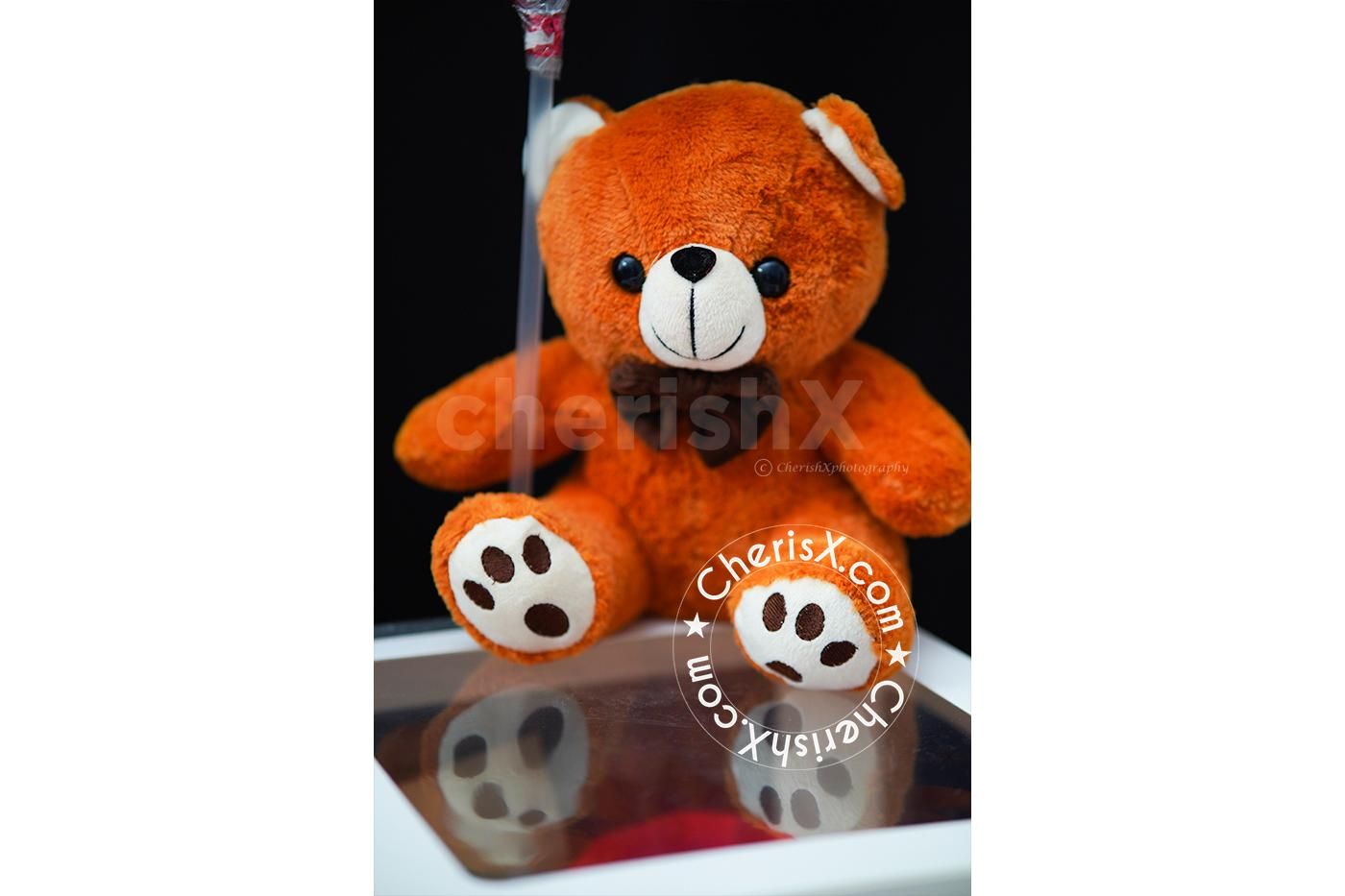 Send your heartfelt message in the card included in the surprise box