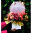 The special bucket is designed for special occasions