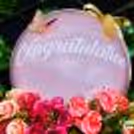 Its stylish design of pink flowers makes it eye-catching