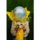 The bouquet with glitters is sure to light up the face of your loved ones.
