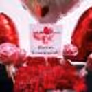 Surprise your loved one with CherishX's White & Red Colored Rose Day Bucket!