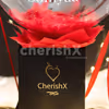 Make your partner feel special this Valentine's with Gorgeous Red Feathers Valentine's Special Bucket  by CherishX.