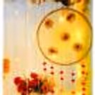 The lanterns filled with flower bunches are a unique add-on to the décor setup