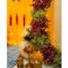 Create lasting memories at the beautiful floral mandap
