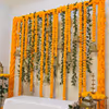 The contrasting green and orange colours make it lively for the occasion