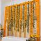The contrasting green and orange colours make it lively for the occasion