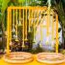 Urli Haldi Decor