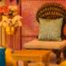 Your guests will surely feel relaxed and happy with the theme décor celebration
