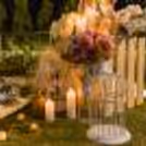 The lamps, cushions, and lamps added to the setup truly complement the occasion
