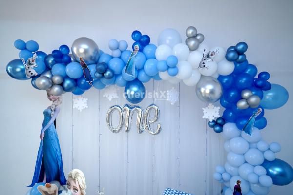 Book this wonderful Frozen Themed Decoration for your kid's birthday.