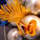 With this stunning golden galaxy birthday decor, every moment feels like a magical dream come true.
