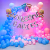 Double the love, double the joy! Our double delights welcome baby decorations and create a whimsical backdrop for your precious twin wonders.
