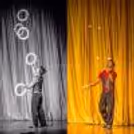The kids won't get enough of the jaw-dropping tricks and fun-filled performances.