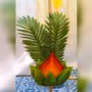 Elevate your home into a radiant haven of celebration with a box of decorations