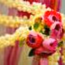 Embrace hassle-free decor with our DIY Divine Mandap Backdrop Kit.