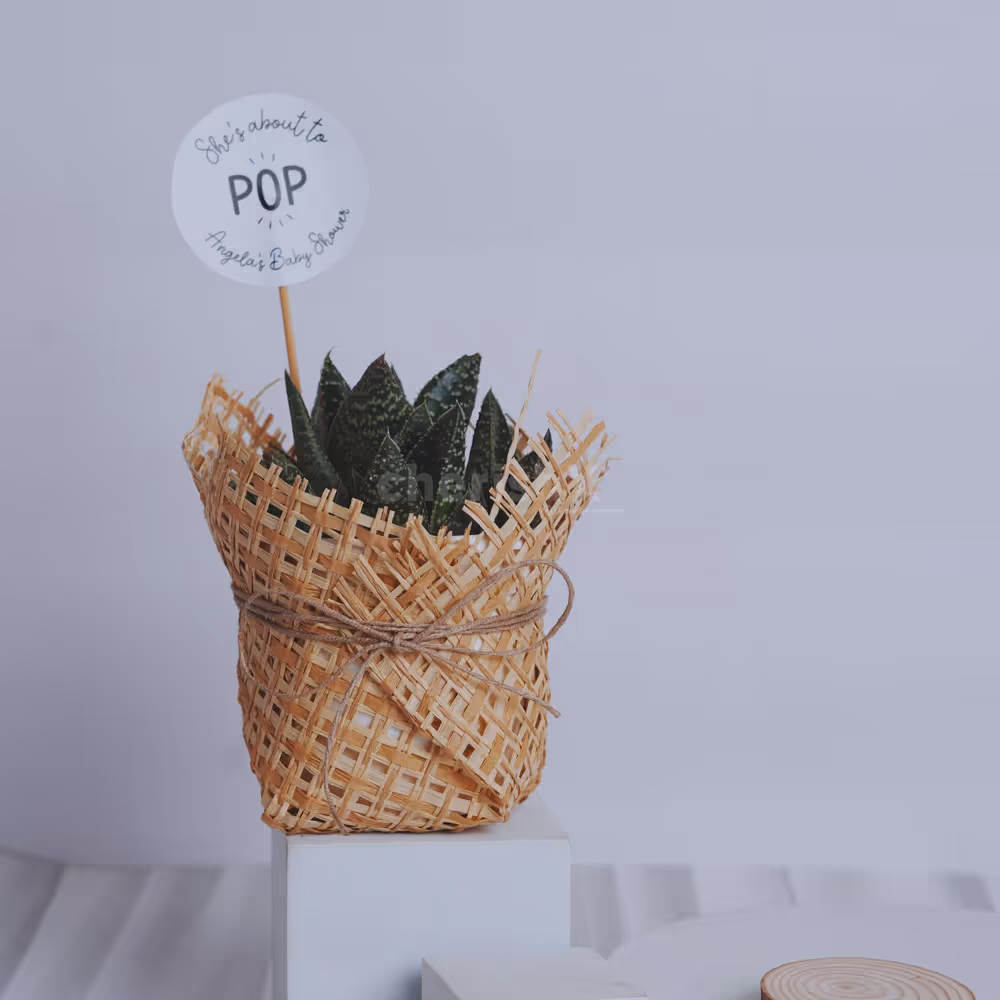 Tender gift remembrance clothed with warmth and comfort.