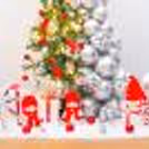 Christmas tree is topped with a small silver star, and surrounded by LED lights.