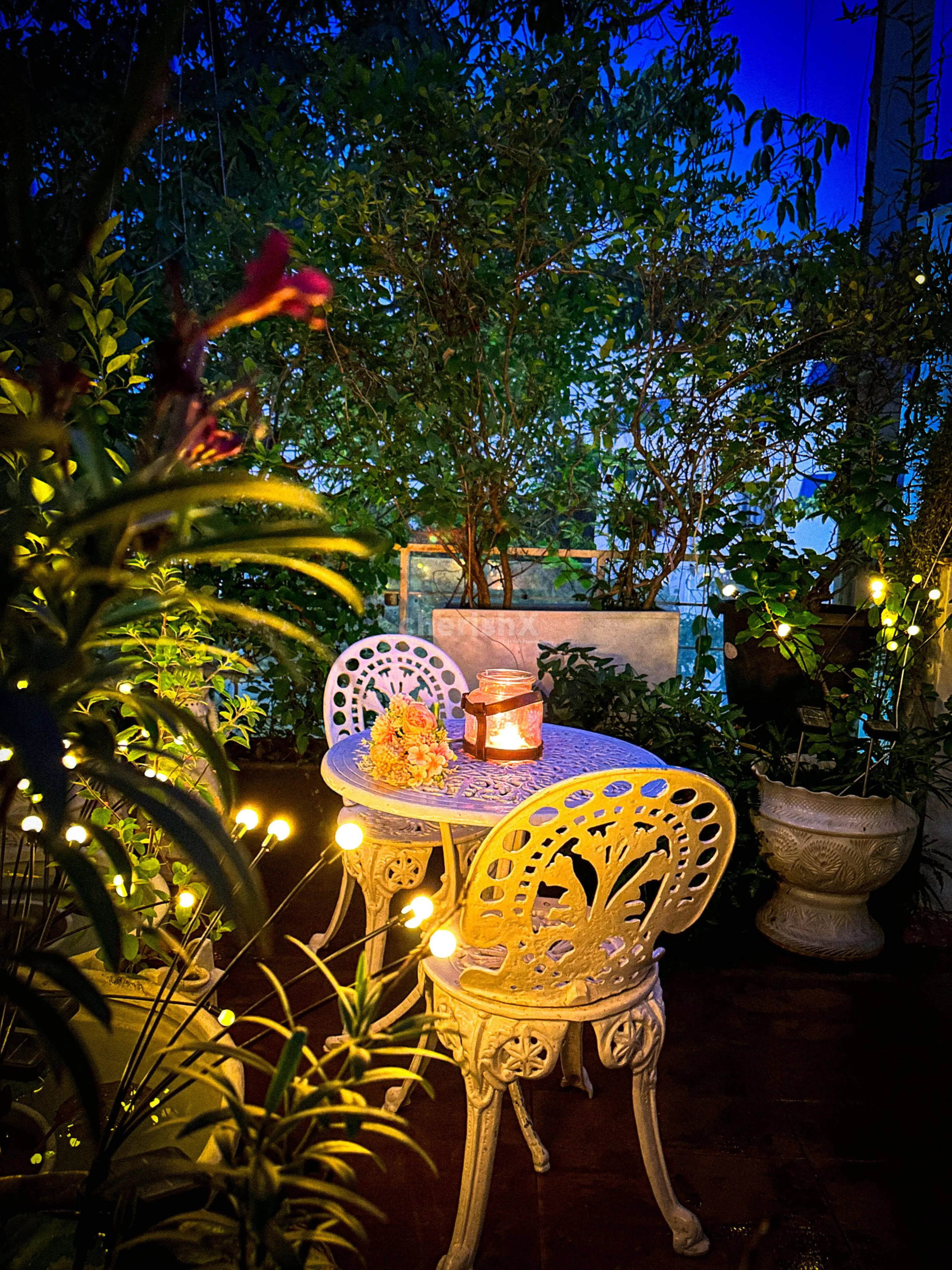 Escape for a Cozy Romantic Dinner With Your Partner Amidst
