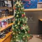 Capture the essence of the season with our Christmas tree DIY kit, delivering joy and happiness directly to your home or office.