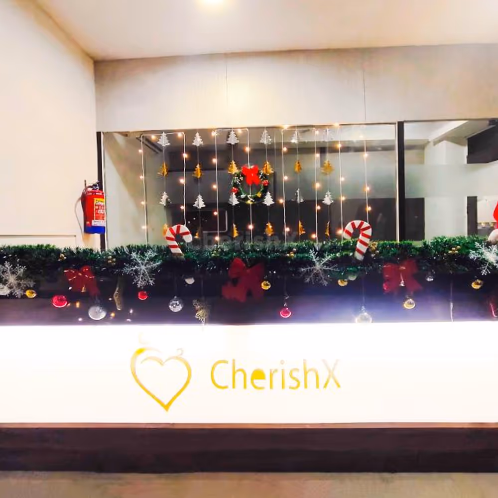 Beautiful gift boxes nestled beneath the Christmas tree add more magic to the decoration.