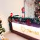An array of delightful ornaments. Mosses, stars, and whimsical paper cutouts create a visual feast for a festive ambience.