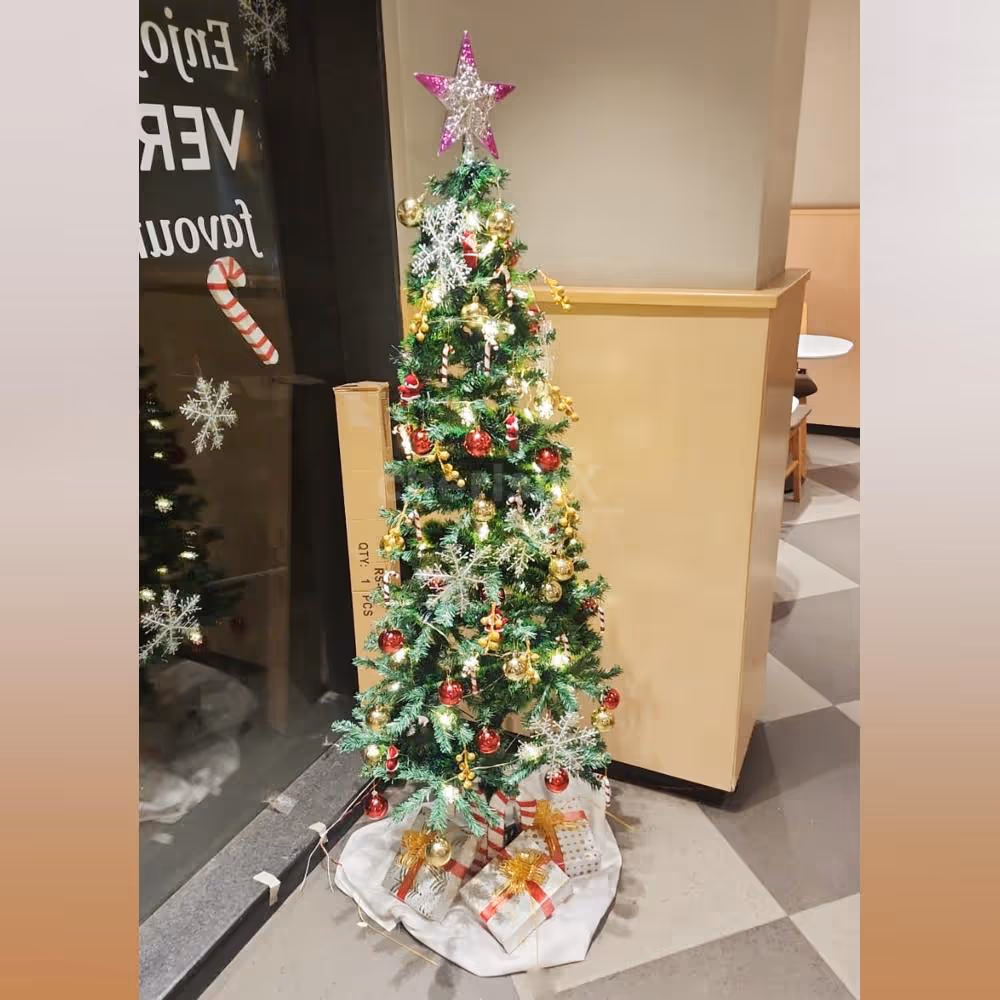 Capture the essence of the season with our Christmas tree DIY kit, delivering joy and happiness directly to your home or office.