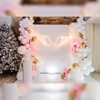 Immerse yourself in the enchantment of the Blissful Feather Fantasy baby shower decor featuring a dreamy setting with delicate pink balloon garlands, creating a joyful and celebratory atmosphere.