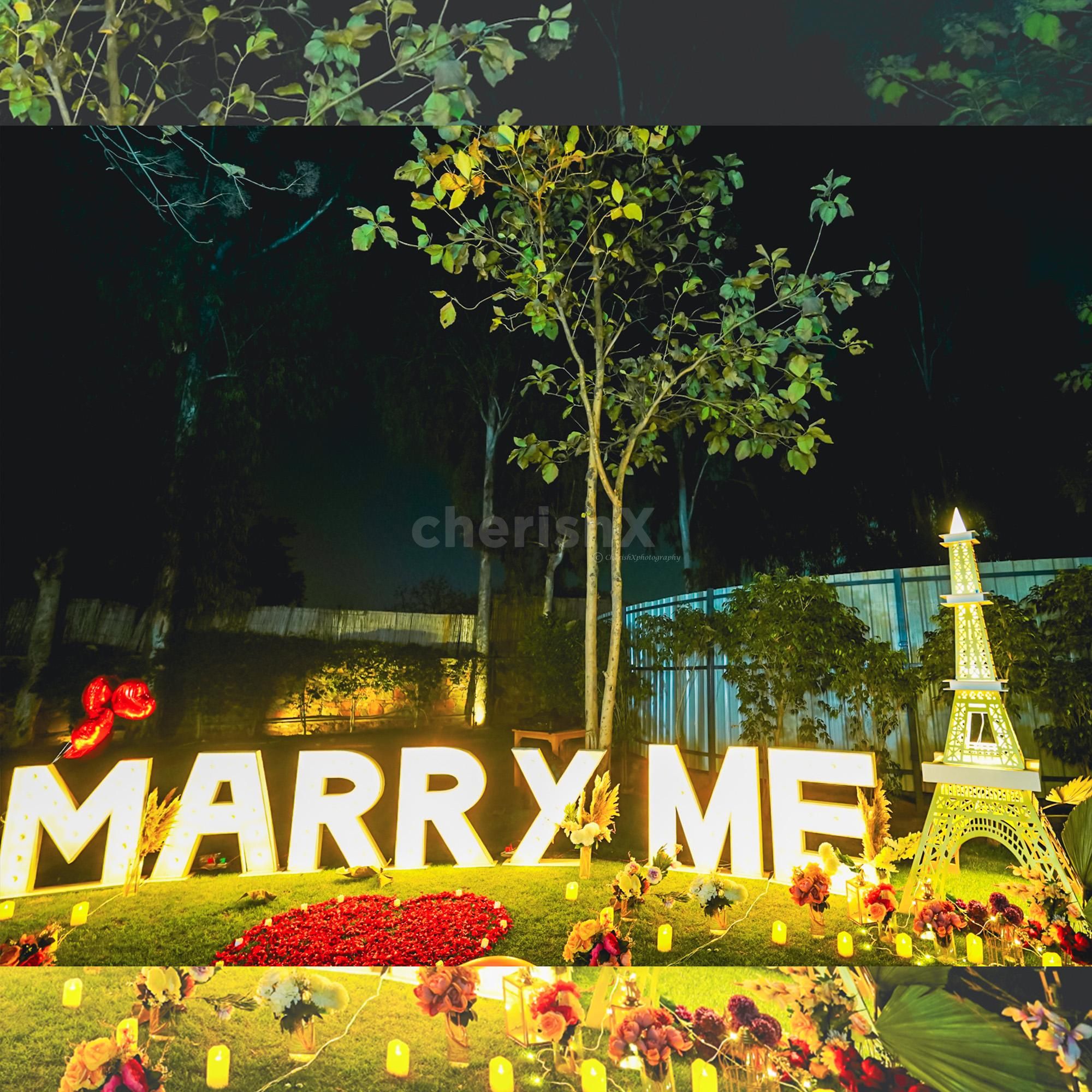 Fairytale proposal and dinner