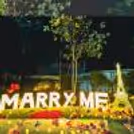 Fairytale proposal and dinner
