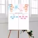 Baby shower game ideas for guess the baby girl or boy