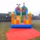 Bouncy Castle For Kids Birthday Party — photo 2