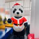 Premium Live Cartoon Character For Kids Birthday Party — photo 9