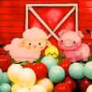 Farm Frolics Fun: Birthday Balloon Decor