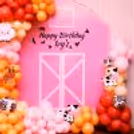 Step into a World of Charm and Girlish Fun at the Pink Farm Birthday Bash!