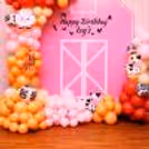 Whimsical Pink Farm Birthday Fiesta: Where Charm Meets Delight!