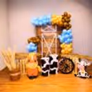Join the Farmyard Fun: Kids Birthday Adventure!