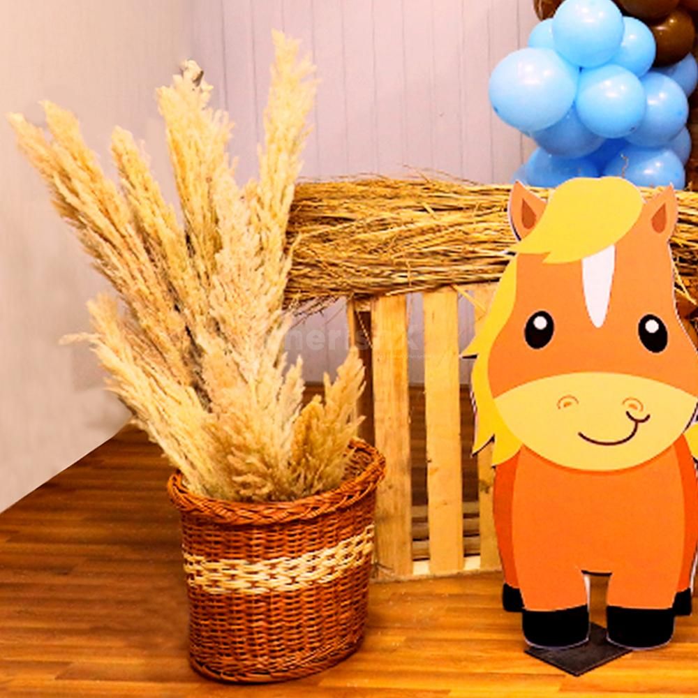Farm Animals Birthday Balloon Bonanza: Where Joy Blooms!
