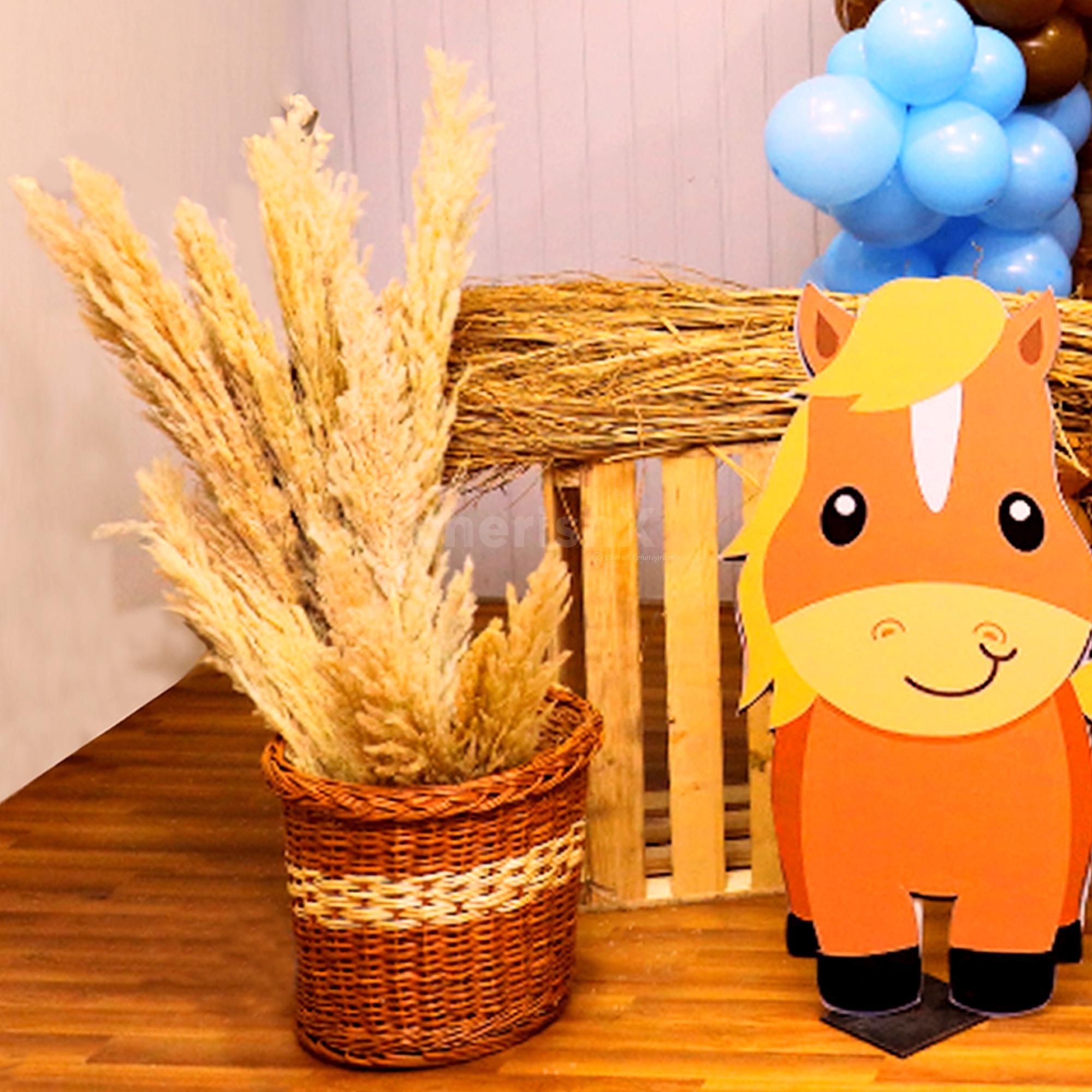 Farm Animals Birthday Balloon Bonanza: Where Joy Blooms!