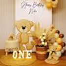 Snuggle Up at the Teddy Bear Birthday Bash